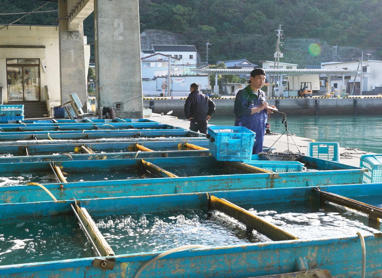 鮮魚の仕入れ